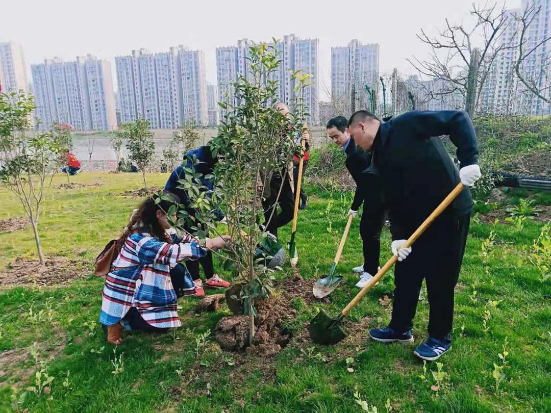 植树活动现场