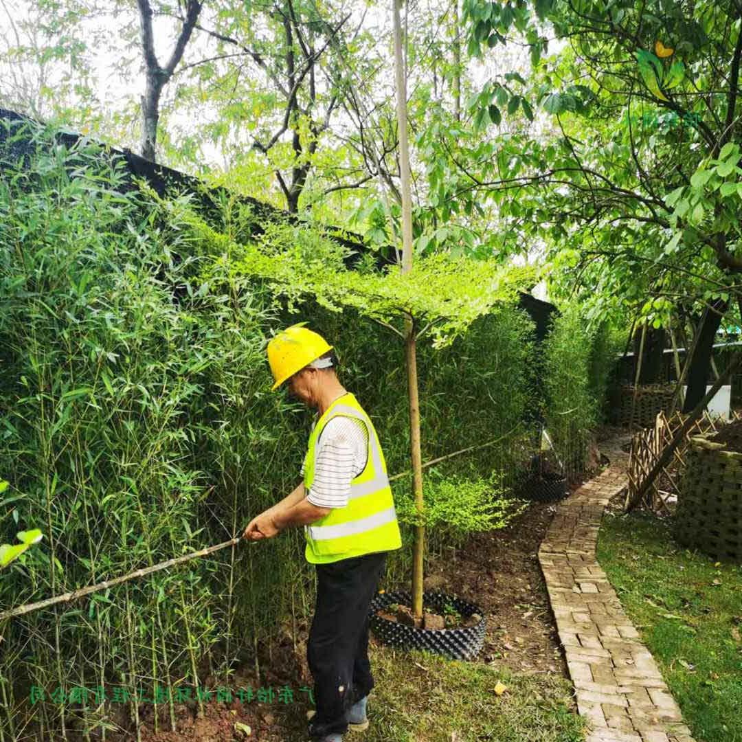 番禺露营基地菲律宾网赌合法平台施工现场