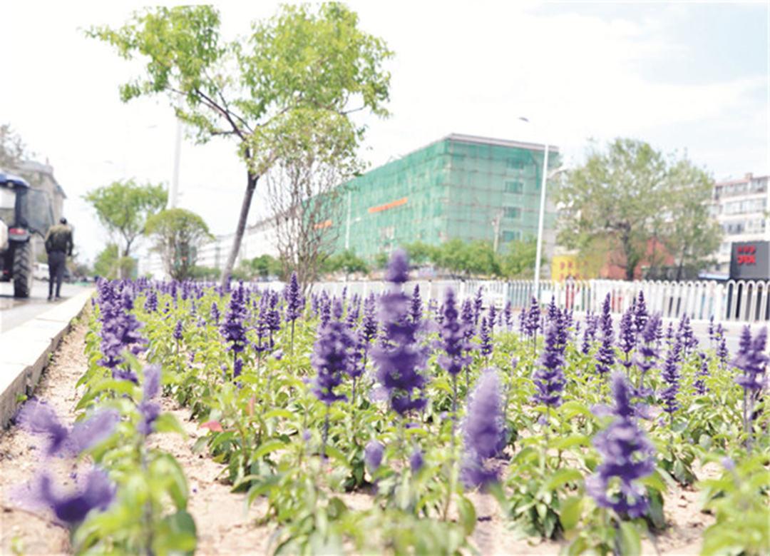 吉林省延吉市：积极加快推进城市园林绿化提升工程，迎接延边建州70周年！