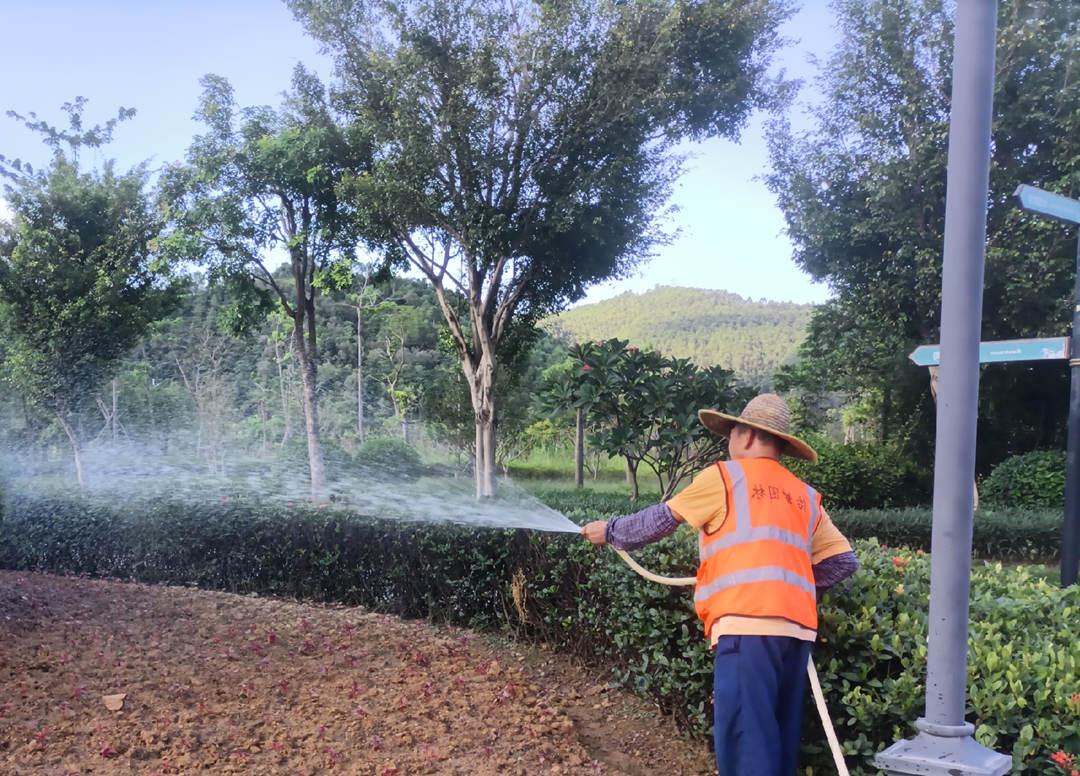 菲律宾网赌合法平台工人正在给植物浇水